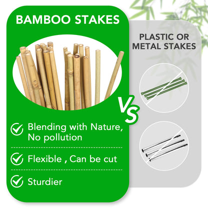 SWANGSA 55 Pack Bamboo Stakes for Plant 5 Feet(57.5inch) Bamboo Sticks for Garden Plant Support Stakes Poles for Tomatoes, Beans, Flowers, Trees, Indoor and Outdoor Climbing Plants