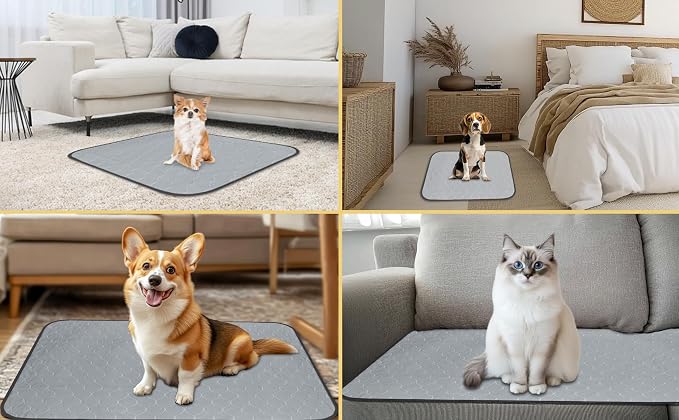 DAHAPYBOO Washable Pee Pads for Dogs 24x36,4 Pack | Reusable Puppy Pads for Dogs Non-Slip Waterproof Pet Training Pads for Crate, Playpen, Bed, Sofa,Whelping Box, Potty Training