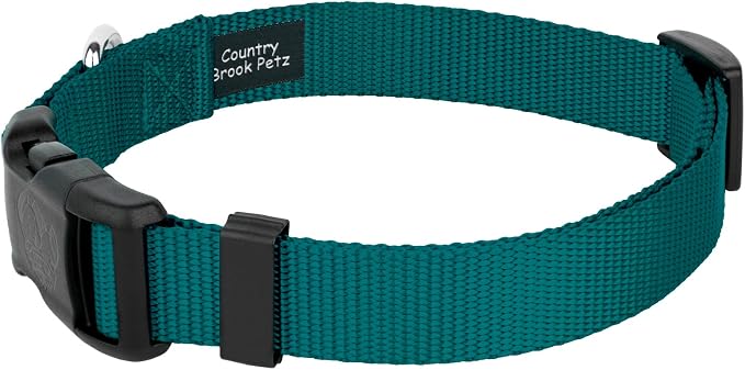 Country Brook Petz - Everyday Nylon Dog Collar and Leash - 10+ Cool Colors (3/8 Inch, Extra Small, Teal)
