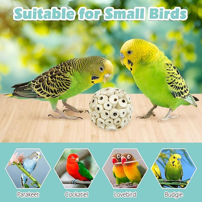 PINVNBY 12 Pack Small Sola Balls Bird Toys Soft & Chewable Bird Chew Ball Natural Sola Plant Lightweight Shred Toy for Parakeet Cockatiel Lovebird Budgie and Similar Sizes Pets