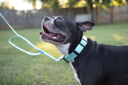 Country Brook Petz - Everyday Nylon Dog Collar and Leash - 10+ Cool Colors (3/4 Inch, Small, Light Cyan)