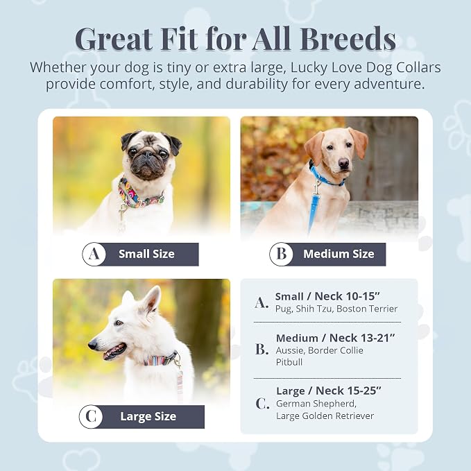 Lucky Love Dog Martingale Collar, Premium No Slip Martingale Collar for Large Boy Dogs, Great for Whippets, Greyhounds, and More (Large, Blue Laguna)