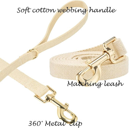 Luxury Soft Cotton Tweed Fabric Dog Collar & Leash Set with Gold Buckle – Durable Fabric, Stylish Design for Everyday Walks(Medium Cream)
