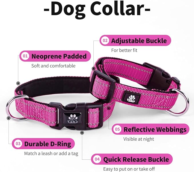 IVY&LANE 2 Pack Reflective Dog Collars and Leashs Set,Adjustable Neoprene Padded Dog Collar for Puppy, Breathable Nylon Pet Collar for Small Medium Large Dogs(Small,Pink+Fuchsia)
