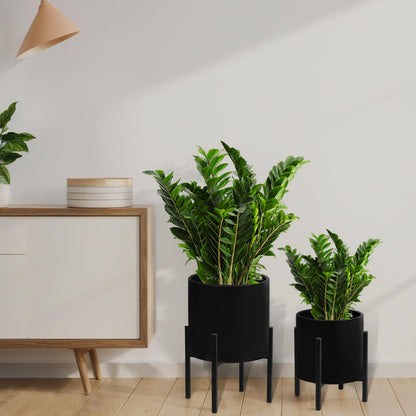 ARNIS Modern Plant Pots, Set of 2 Large Planters with Stand, Decorative Planters, Metal Pots with Drainage Holes for Living Room, Office, Garden or Balcony, 8.25 &10.5 Inch, Blcak