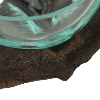 Wide-Mouth Glass and Teak Driftwood Sculptural Bowl – Unique 3.25” High, 5.75” Long, 4.5” Wide Decorative Centerpiece for Succulent Gardens, Floral Arrangements, and Home Décor