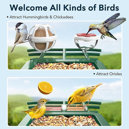 PeckCam Bird Feeder with Camera Solar Powered, AI Identify & Auto Capture with 32GB Card, 2K HD Live Video Smart Bird Feeder Camera Instant Notifications in Backyard, Gift for Bird Lovers