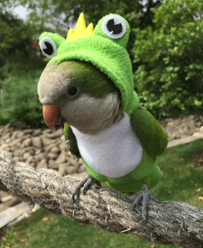 Bird Diaper Flight Suit Frog Shape Hoodie Clothes Cosplay Photo Prop for Parrots Parakeet Cockatiel Sun Conure, Small Animals Apparel (Green With Diaper, Medium)