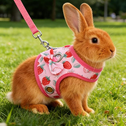 Small Pet Harness and Leash, Escape Proof Rabbit Vest with Soft Edges Dual Safety Buckles for Bunny Guinea Pig Ferret Chinchilla (S)