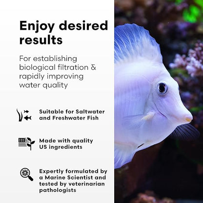 Brightwell Aquatics MicroBacter7 Complete Bioculture for Fish Tank or Aquarium - Populates Biological Filter Media for Saltwater and Freshwater Fish - Aquarium Water Treatments, 8.45 fl oz