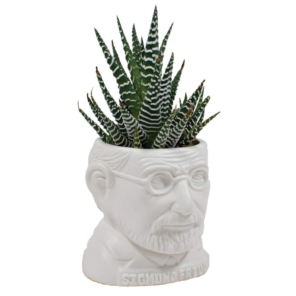 The Unemployed Philosophers Guild Sigmund Freud Bust Ceramic Planter