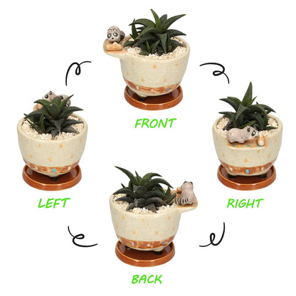 MAKOLO Ceramic Succulent Planter Small Pot with Drainage Hole and Tray for Cactus Flower Plant Container Shelf Home Office Desk Decoration (Raccoon)