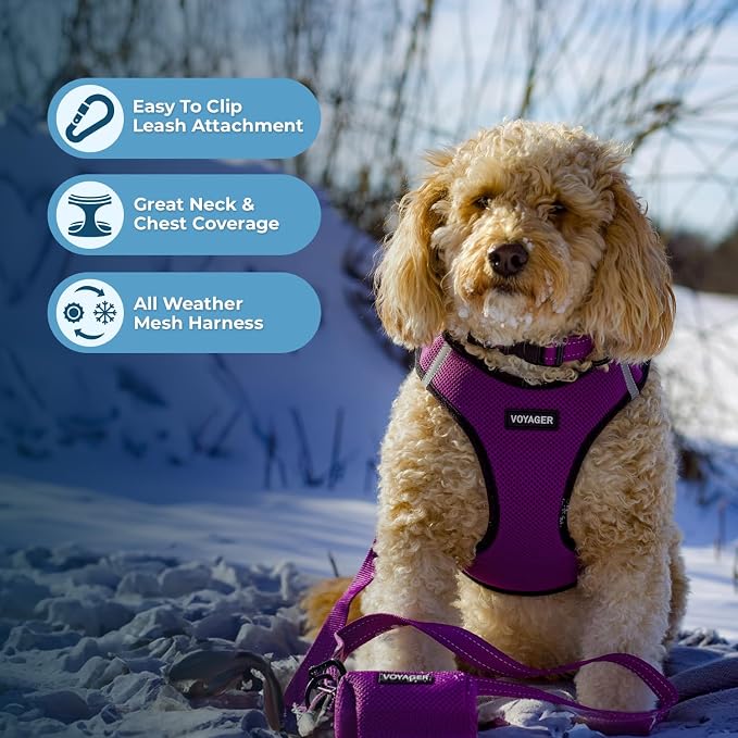 Best Pet Supplies Voyager Step-in Air All Weather Mesh Harness and Reflective Dog 5 ft Leash Combo with Neoprene Handle, for Small, Medium and Large Breed Puppies - Purple/Black Trim, X-Large