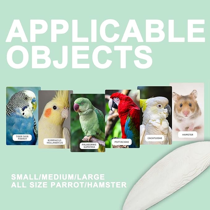 Natural Cuttlebone for Birds Parakeets Canaries Cockatiels Small Conures Mynahs Toucans African Greys All Parrots Snails Totoise, with Holder for Bird Cage (6-6.5 inch,2PCS)