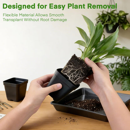 GREANER 4PCS Seed Starting Trays 12 Inch, 60PCS 2.7 Inch Sturdy Seedling Pots with Drain Holes and 20PCS Plant Labels for Indoor&Outdoor Use