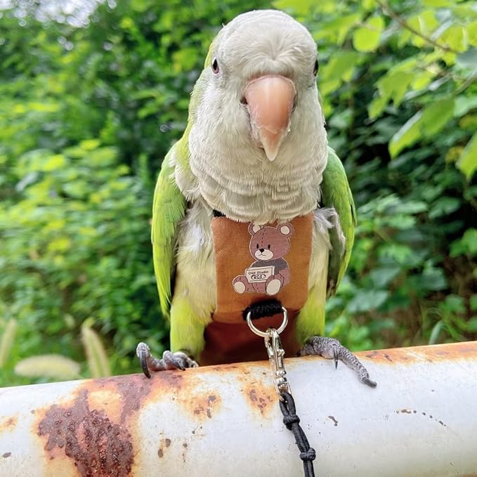 Bird Diaper Harness Flight Suit Clothes, Parrot Flight Suit with Leash for Parrot, Bird Flying Clothes with Rope and Handle for Outdoor Activities Training (Quaker,Without Leash)