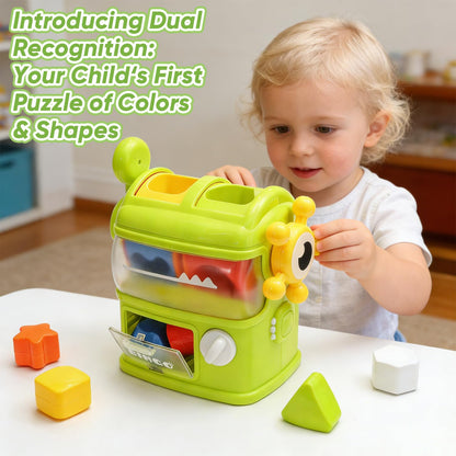 Seozio Shape Sorter Toys for Kids 1 2 3 Years Old, Sensory Montessori Toy