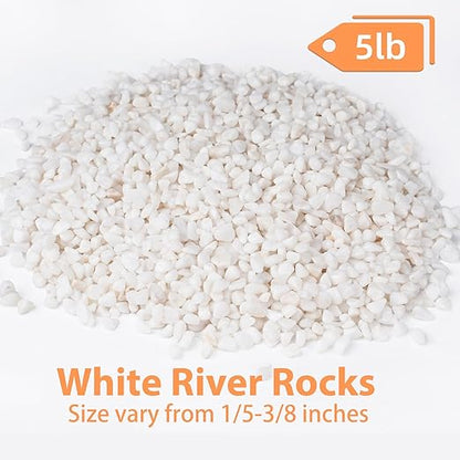 Pulovin 5 lbs White Aquarium Gravel, 1/5 Inch White Rocks for Plants, Small Pebbles for Vases, Succulents, Bamboo, Natural Decorative Pebbles for Plants Drainage, Cactus, Crafts