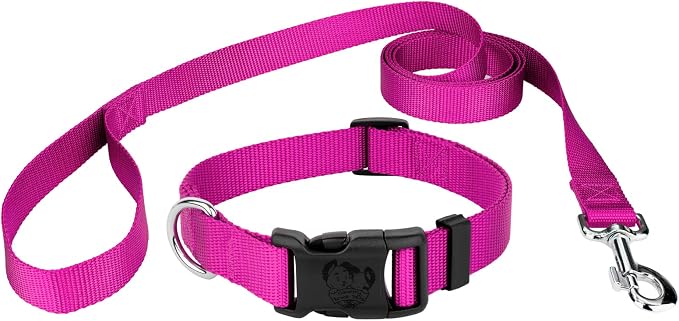 Country Brook Petz - Everyday Nylon Dog Collar and Leash - 10+ Cool Colors (3/4 Inch, Small, Fuchsia)