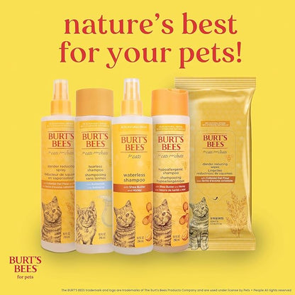 Burt's Bees for Pets Tearless Kitten Shampoo with Buttermilk and Honey, 99% Natural Origin Gentle Cat Shampoo for Sensitive and Itchy Skin, pH Balanced and Fragrance-Free, 10 Fl Oz - 6 Pack