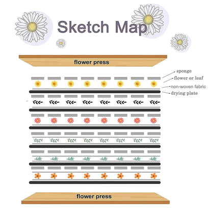 DICHA Microwave Flower Press Book- Plant and Leaf Press-Beginners Flower Press Kit Professional -6"X9" Flower Pressing Kit for Adults - Efficient,Simple Outdoor Activity Arts & Crafts