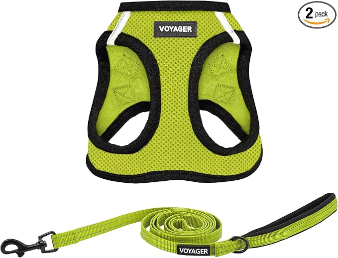 Best Pet Supplies Voyager Step-in Air All Weather Mesh Harness and Reflective Dog 5ft Leash Combo with Neoprene Handle, for Small, Medium and Large Breed Puppies - Set (Lime/Black Trim), XX-Small