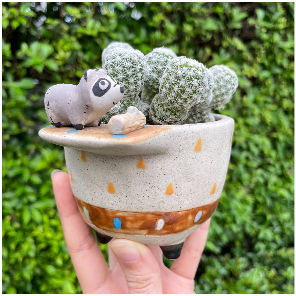 MAKOLO Ceramic Succulent Planter Small Pot with Drainage Hole and Tray for Cactus Flower Plant Container Shelf Home Office Desk Decoration (Raccoon)