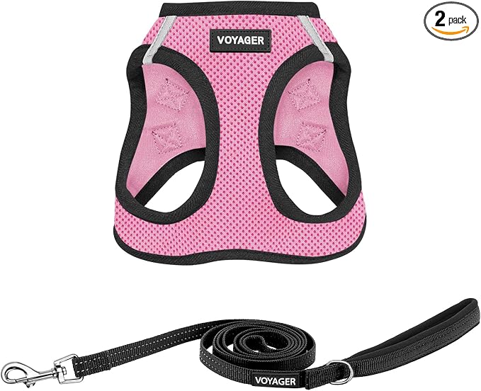 Best Pet Supplies Voyager Step-in Air All Weather Mesh Harness and Reflective Dog 5ft Leash Combo with Neoprene Handle, for Small, Medium and Large Breed Puppies - Pink Base, Medium