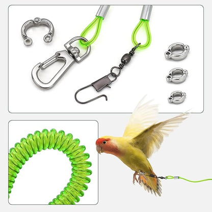 Parrot Flying Leash, 16.4 ft Training Rope with 3 Size Bird Foot Ring, Anti-Bite Elastic String for Cockatiels, Birds, Pigeon (Clear)