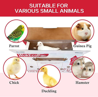 12 Pack Single Live Bird Shipping Boxes, Live Chicken Shipping Boxes, Poultry Shipping Boxes has Ventilation Openings, Cardboard Pet Carrier for Chicken, Bird, Duck, Pigeons, Canaries 17.7x7.8x11.8 in