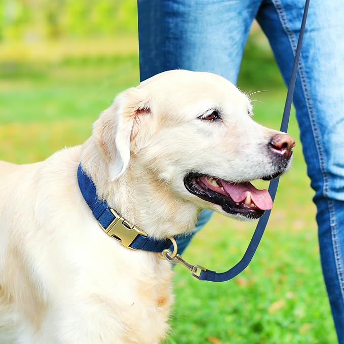 Genuine Leather Dog Collar - Adjustable Pet Collar with Quick Release Metal Buckle, Soft Skin Friendly Real Leather Collar for Small, Medium, Large Dogs (Blue, M：Fit 12-20" Neck)