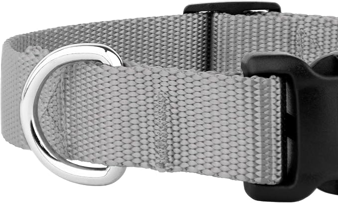 Country Brook Petz - Everyday Nylon Dog Collar and Leash - 10+ Cool Colors (3/4 Inch, Medium, Silver)