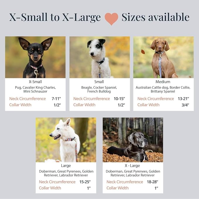 Lucky Love Dog - Adjustable Dog Collar with Easy Click Buckle for Large Dogs, Durable, & Comfortable for Male & Female Dogs, Pet Collar for Puppies & Adult Ones - Nacho, Large