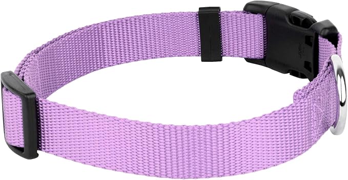 Country Brook Petz - Everyday Nylon Dog Collar and Leash - 10+ Cool Colors (3/4 Inch, Small, Lavender)