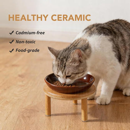 Havniva Elevated Cat Bowls Raised Ceramic Cat Bowl, 5.7” Wide Opening Cat Food Bowl Whisker Friendly Cat Dish Anti-Slip with Bamboo Stand, Shallow Pet Food & Water Bowl for Indoor Cats