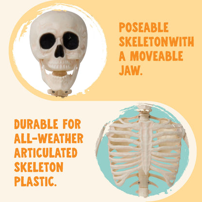 JOYIN 36" Halloween Skeleton Decor, 3FT Full Body Stayable Movable Joints, Posable Hanging Skeletons for Halloween Decoration, Yard, Graveyard, Haunted House Props, Spooky Scene Party Favor