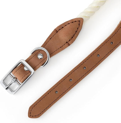 Mile High Life Genuine Leather Dog Collar, Durable Braided Cotton Rope Collar with Metal Pin Buckle for Small Medium Large Dogs (Cream, S Neck 11"-15")
