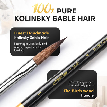 Golden Maple Kolinsky Sable Miniature Paint Brushes, 5PC Professional Detail Paint Brushes Arrow Point Paint Brush Set for Models, Watercolor Details, Figures & Gouache Painting, Black
