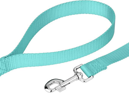 Country Brook Petz - Everyday Nylon Dog Collar and Leash - 10+ Cool Colors (3/4 Inch, Small, Light Cyan)