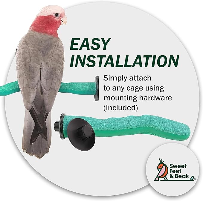 Sweet Feet & Beak Safety Pumice Bird Perch, X-Small 1/2" X 6", Lightweight Grinding Bird Perches for Cage - Bird Nail Trimming Perch for Healthy Beak & Feet - Multi-Size & Color Parrot Stand - Green
