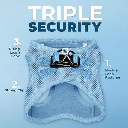Best Pet Supplies Voyager Step-in Air All Weather Mesh Harness and Reflective Dog 5ft Leash Combo with Neoprene Handle, for Small, Medium and Large Breed Puppies - Baby Blue, Large