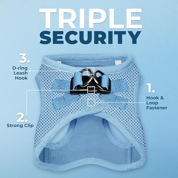 Best Pet Supplies Voyager Step-in Air All Weather Mesh Harness and Reflective Dog 5ft Leash Combo with Neoprene Handle, for Small, Medium and Large Breed Puppies - Baby Blue, XX-Small