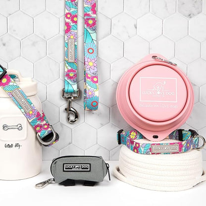 Lucky Love Dog Martingale Collar and Leash Set, Premium No Slip Martingale Collar for Large Dogs, Great for Whippets, Greyhounds, and More (Caroline, Large - Combo)