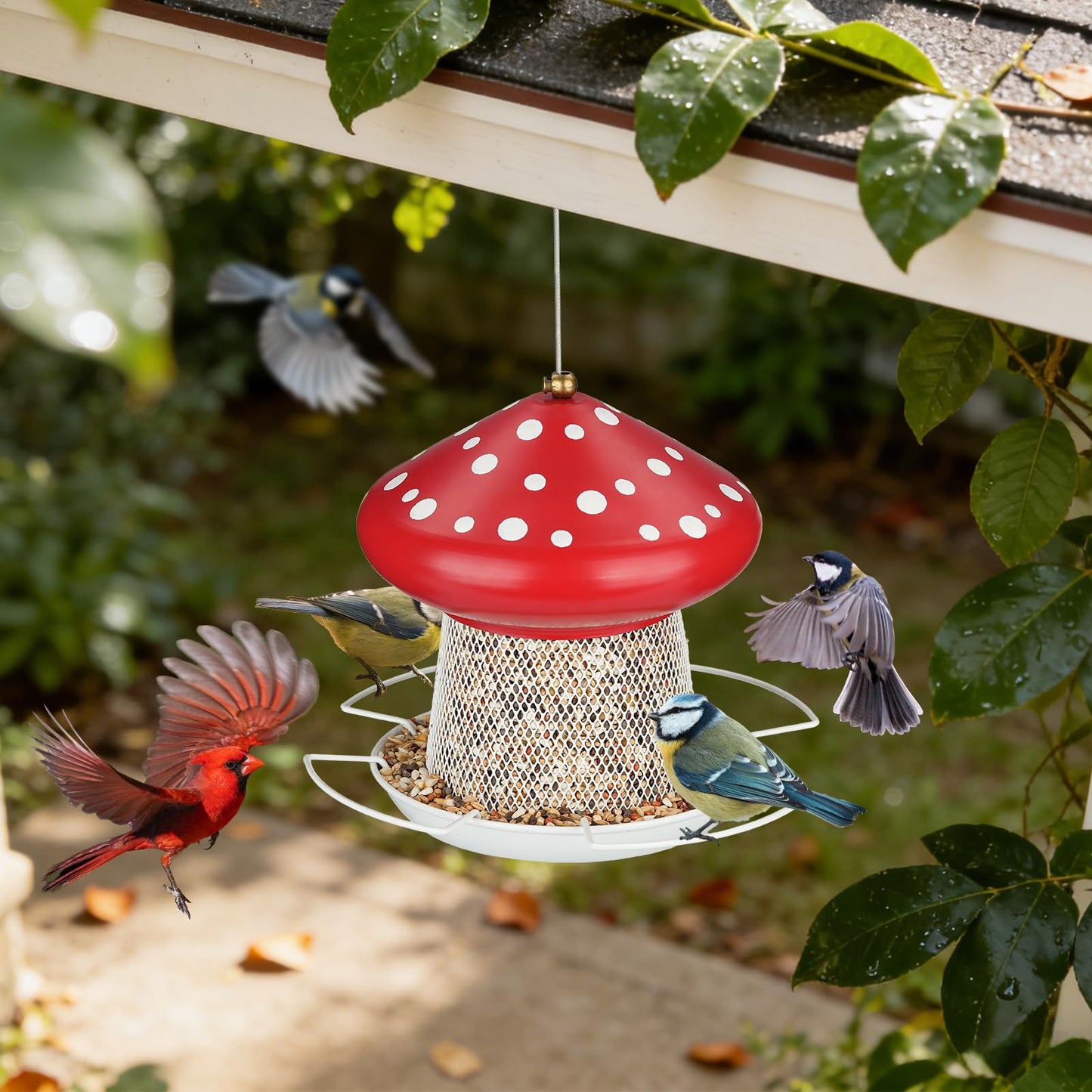 IWNTWY Bird Feeder, Heavy Duty Metal Bird Feeders for Outdoor Hanging, Cute Mushroom Shape Wild Birdfeeder for Outside Garden Yard (Red)