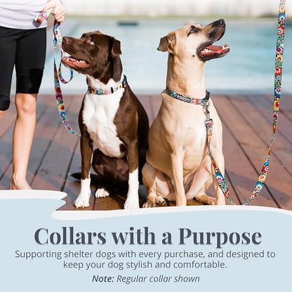 Lucky Love Dog Martingale Dog Collar & Leash - Adjustable, No-Slip, Durable, Comfortable, Soft Webbing, & Stylish Patterned Collar & Leash Set for Male and Female Dogs - Blackbird Combo, Large