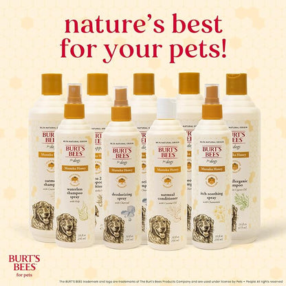 Burt's Bees for Pets Manuka Honey Oatmeal Conditioner for Dogs, Colloidal Oatmeal, 95%+ Natural Origin, No Sulfates, Parabens or Phthalates, Leaves Coat Soft & Shiny, Milk & Honey Scent, 10 Fl Oz