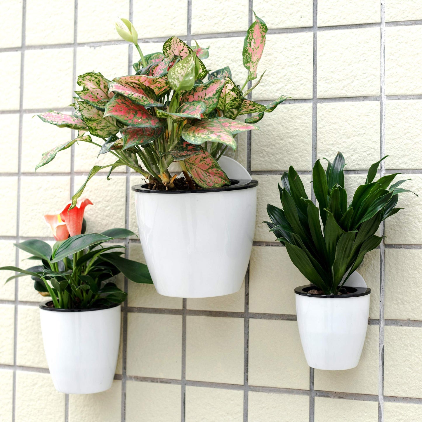 6 Pack White Hanging Planter Pots Self Watering Vertical Garden Wall Mount Window Hang Round Plastic Container Indoor Outdoor for Plants Flowers Succulent Kitchen Living Herbs Holder Decor(Large)