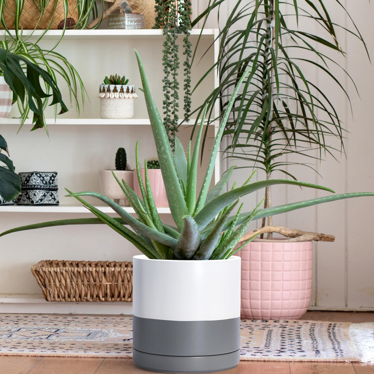 D'vine Dev Set of 2 Plants Pots, 10 Inch Ceramic Planter Pot for Plants with Drainage Hole and Saucer, White/Speckled Grey, 94-V-E-6