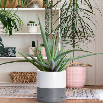 D'vine Dev Set of 2 Plants Pots, 10 Inch Ceramic Planter Pot for Plants with Drainage Hole and Saucer, White/Speckled Grey, 94-V-E-6