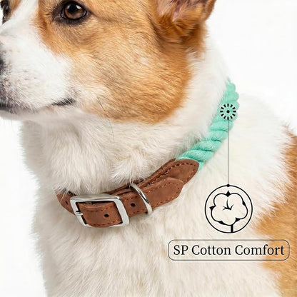 Mile High Life Genuine Leather Dog Collar, Durable Braided Cotton Rope Collar with Metal Pin Buckle for Small Medium Large Dogs (Green, L Neck 17"-21")